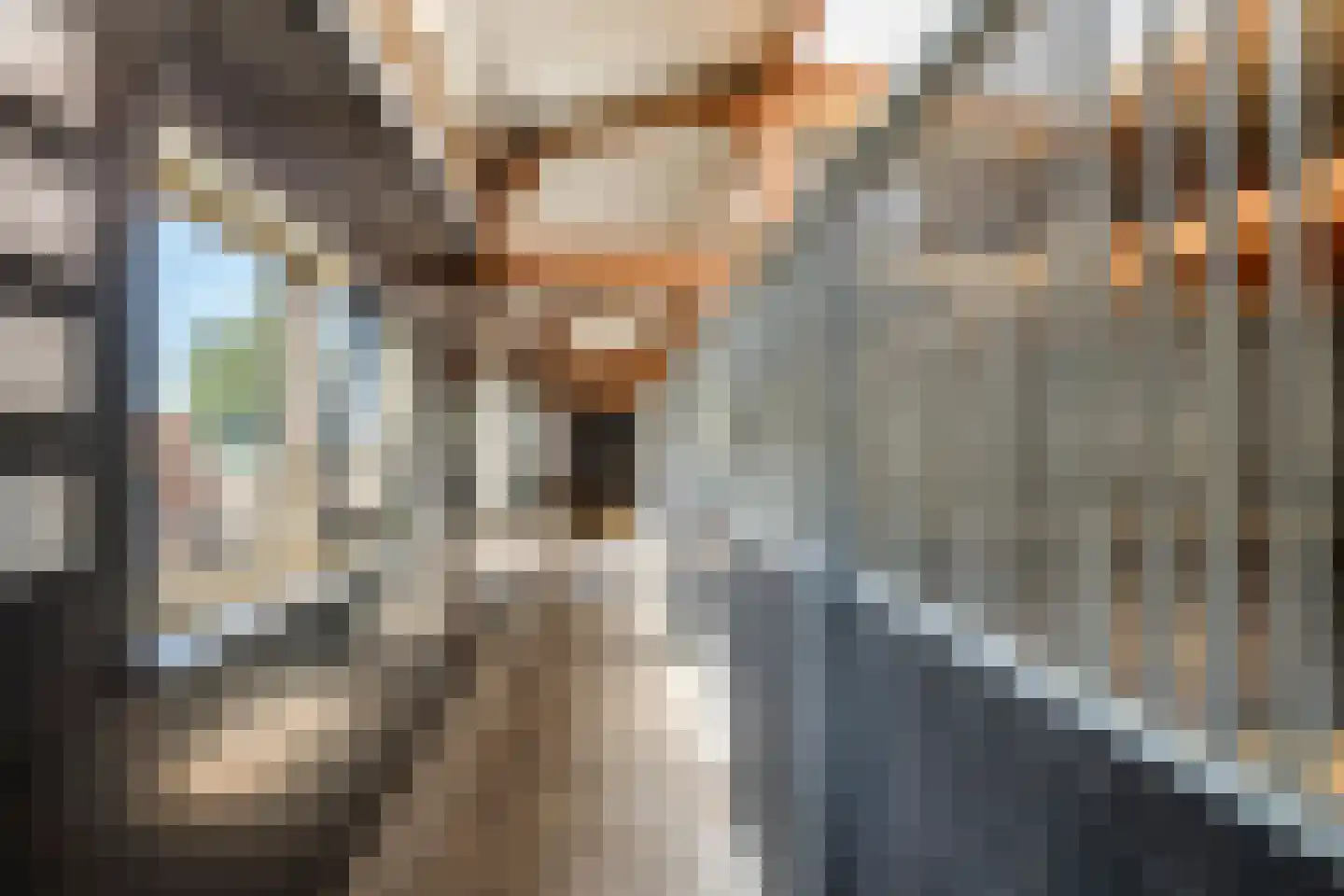 Plein 5 Zoelmond thumbnail 65