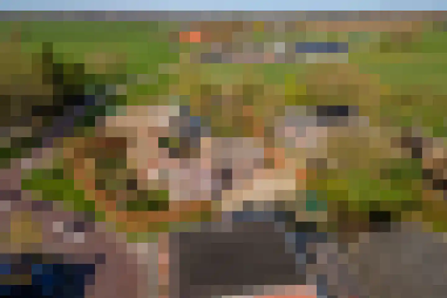 Plein 5 Zoelmond thumbnail 68