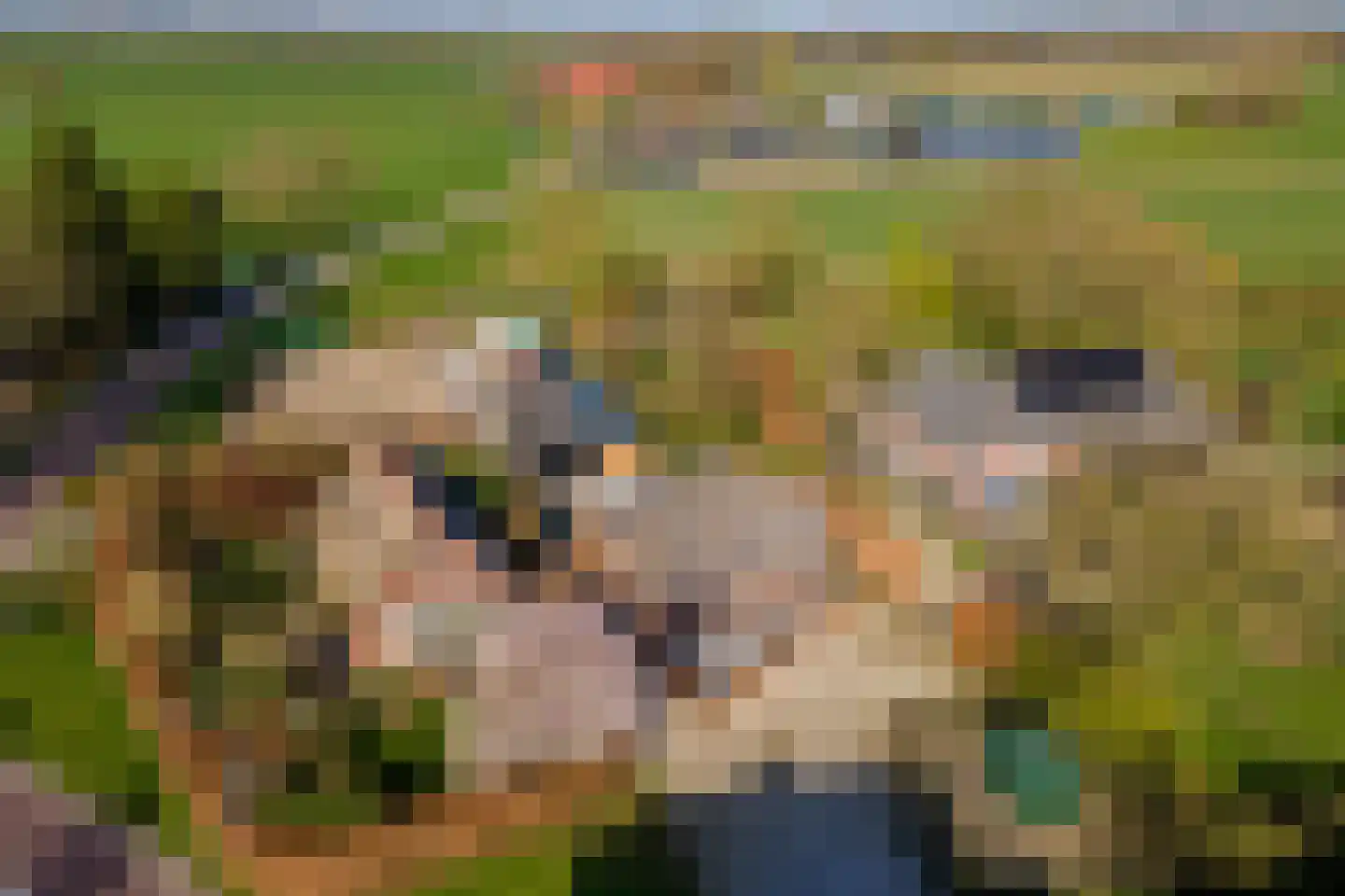 Plein 5 Zoelmond thumbnail 69