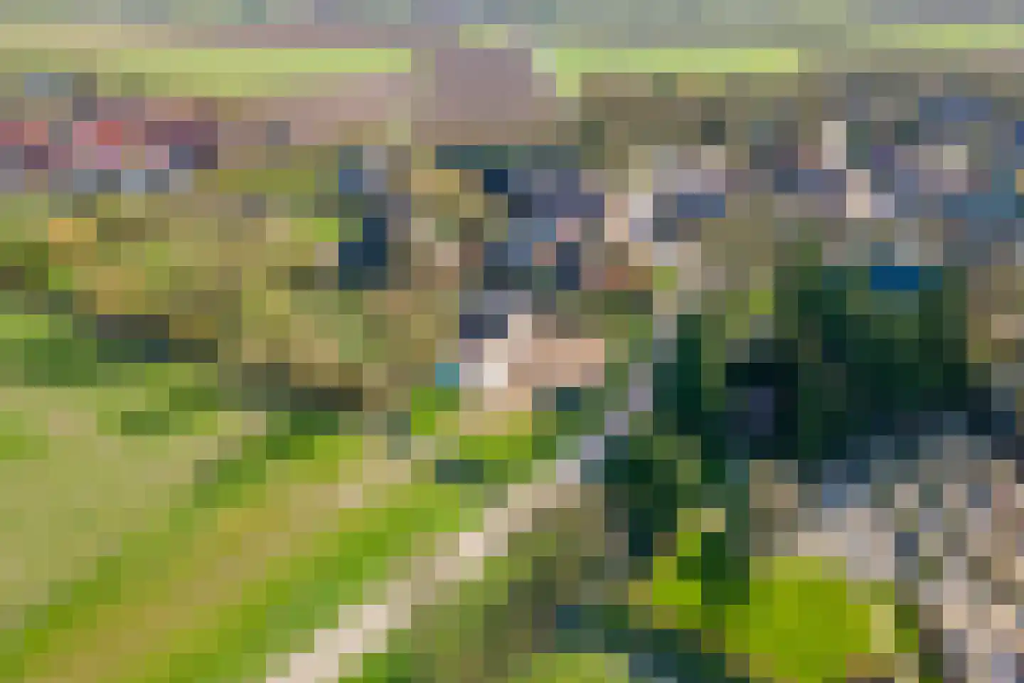 Plein 5 Zoelmond thumbnail 72