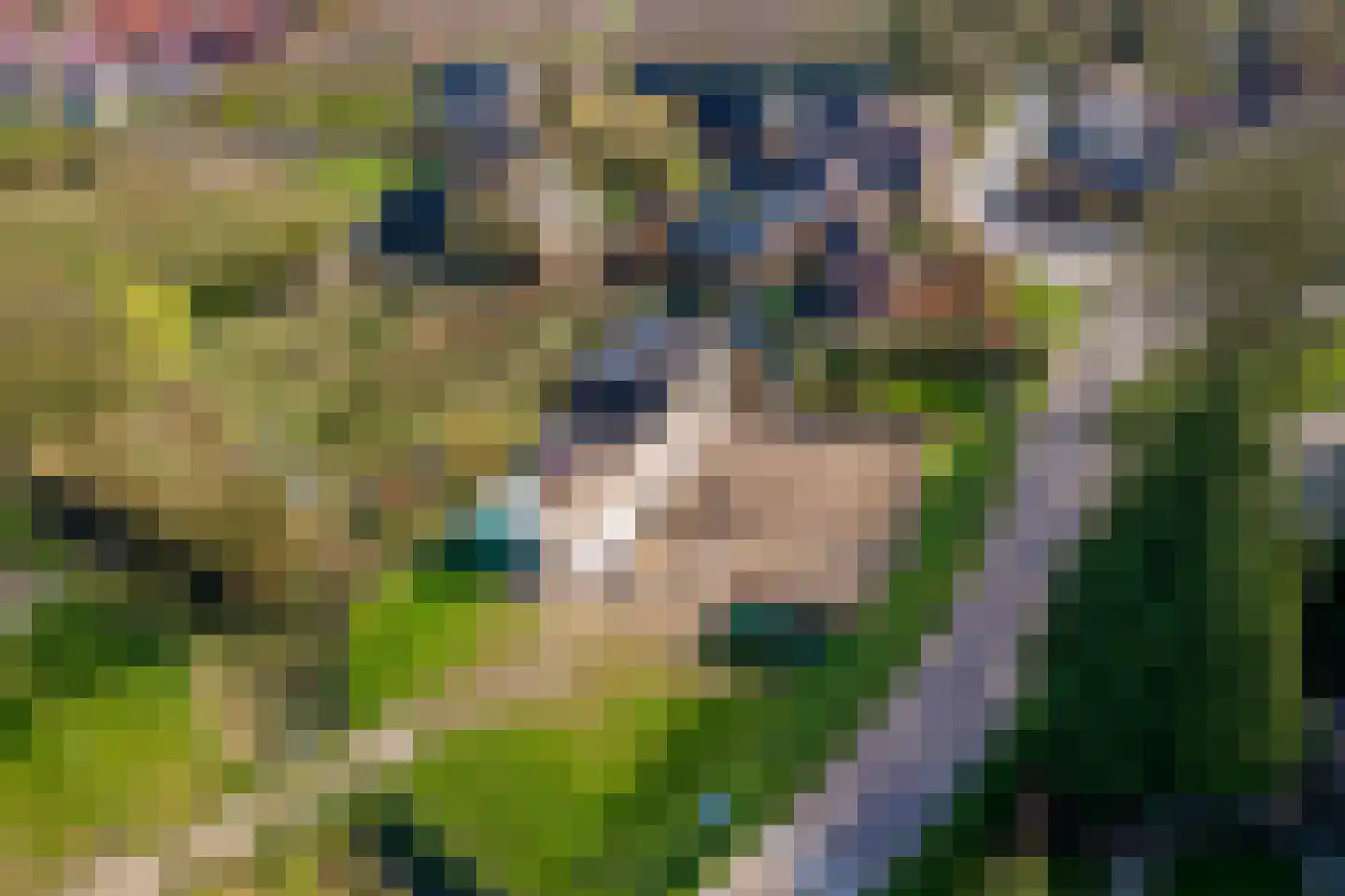 Plein 5 Zoelmond thumbnail 73