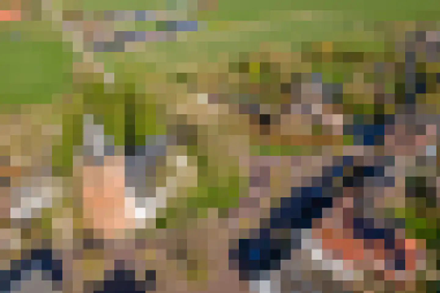 Plein 5 Zoelmond thumbnail 74