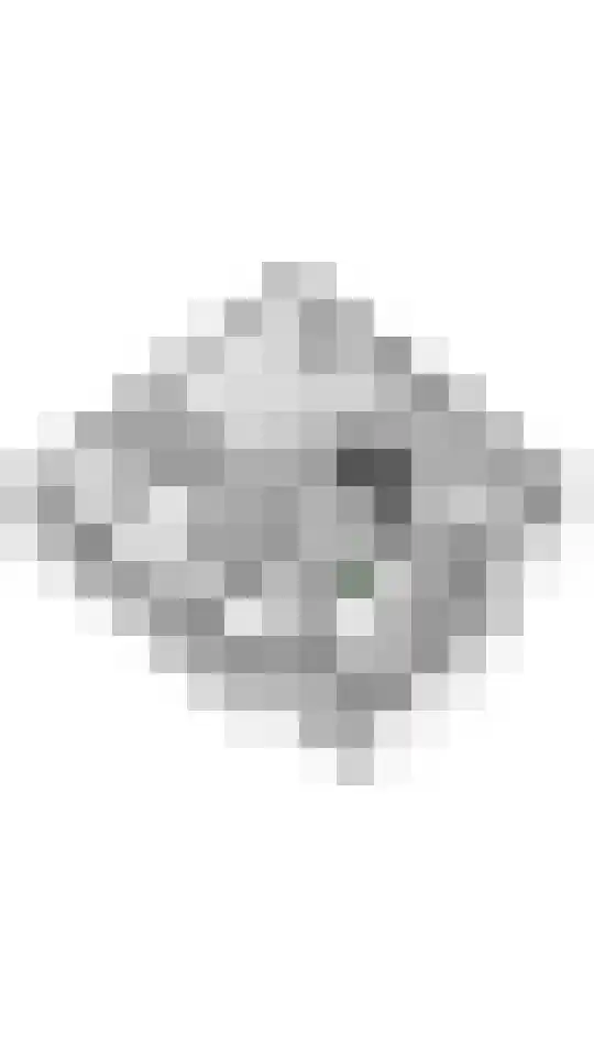Plein 5 Zoelmond thumbnail 79