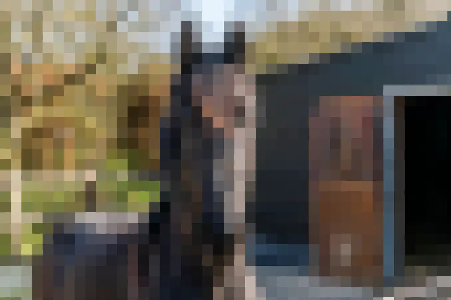 Plein 5 Zoelmond thumbnail 8