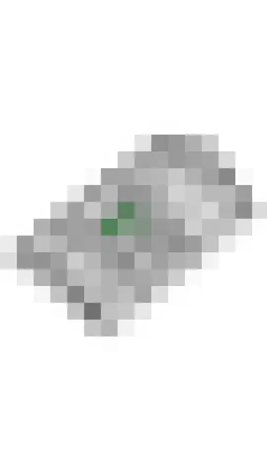 Plein 5 Zoelmond thumbnail 81