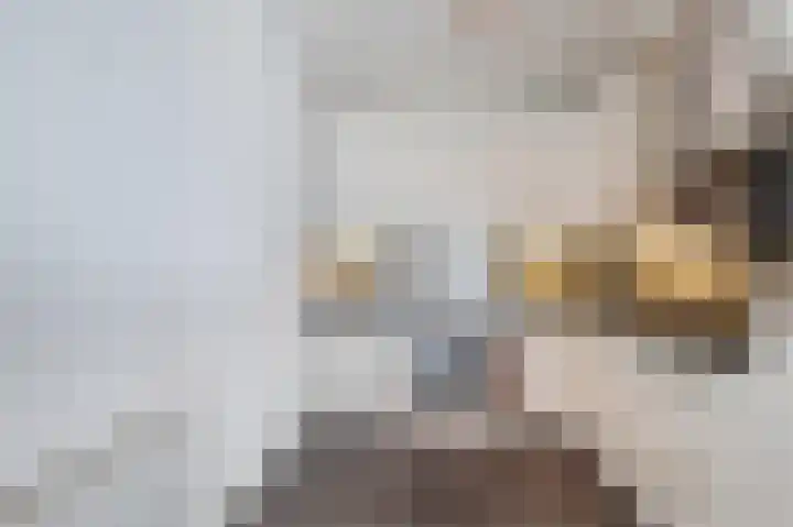 Plein 52 Biddinghuizen thumbnail 20