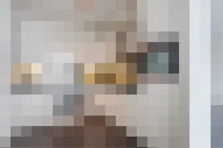 Plein 52 Biddinghuizen thumbnail 21