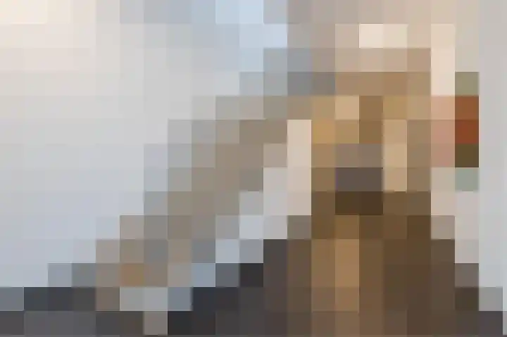 Plein 52 Biddinghuizen thumbnail 6