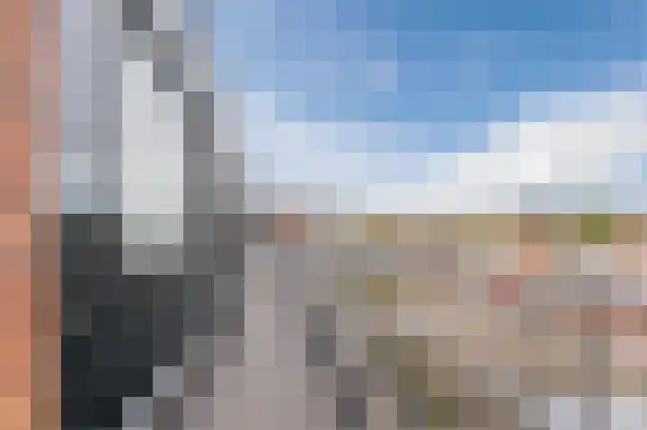 Plein 52 Biddinghuizen thumbnail 9