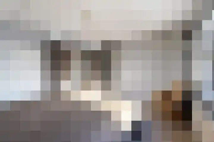 Plein 58 Wateringen thumbnail 28