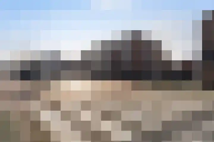 Plein 58 Wateringen thumbnail 32