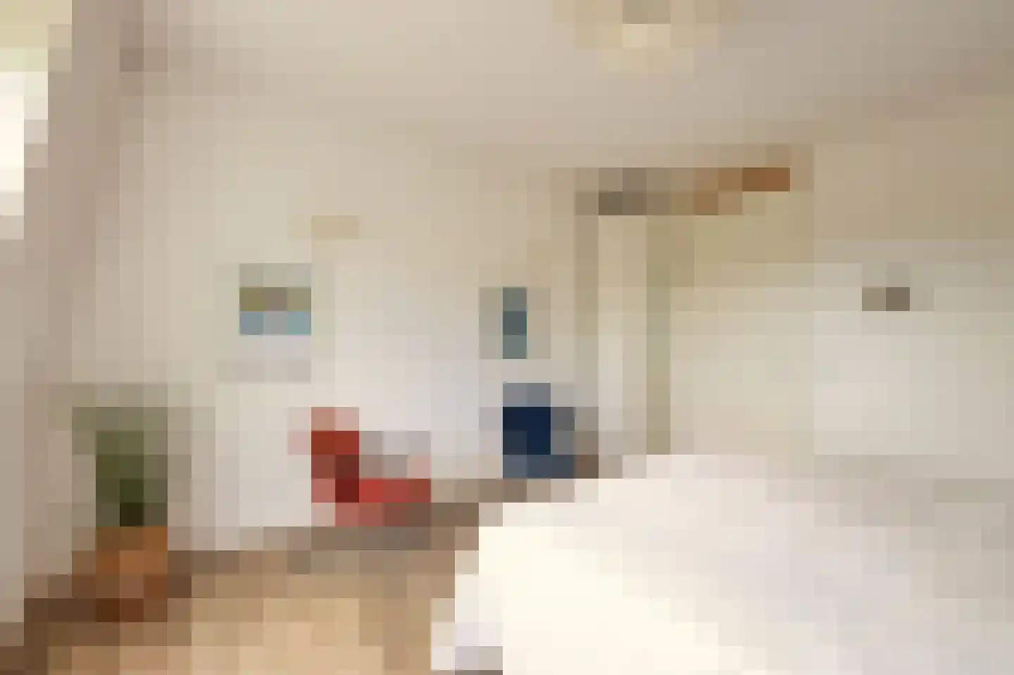Plein 59 Bergen (NH) thumbnail 16