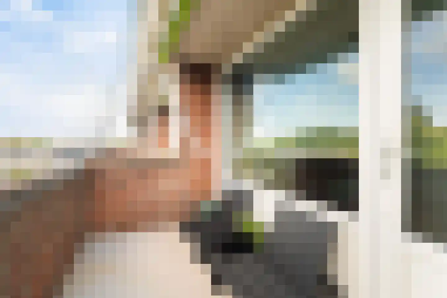 Plein 62 Wateringen thumbnail 19
