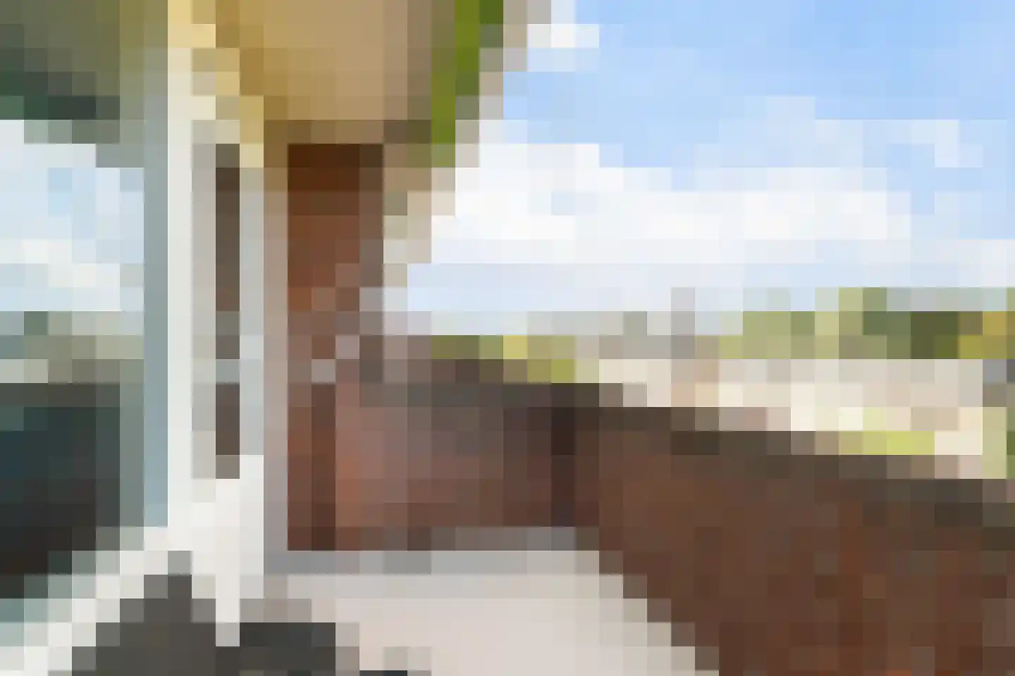 Plein 62 Wateringen thumbnail 20