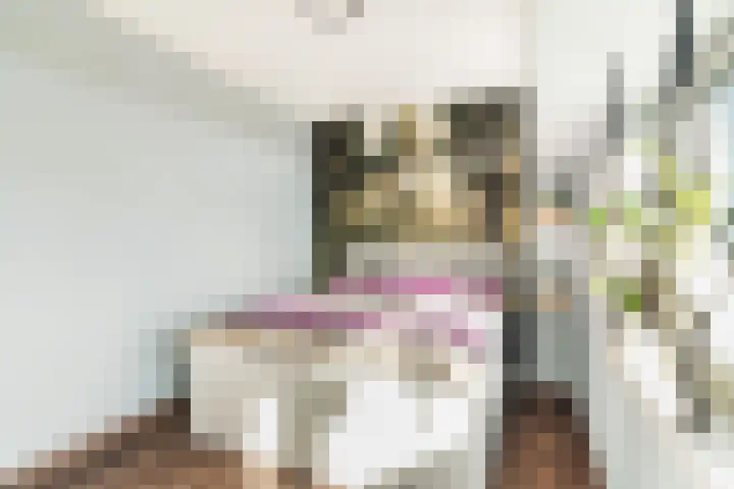 Plein 62 Wateringen thumbnail 22