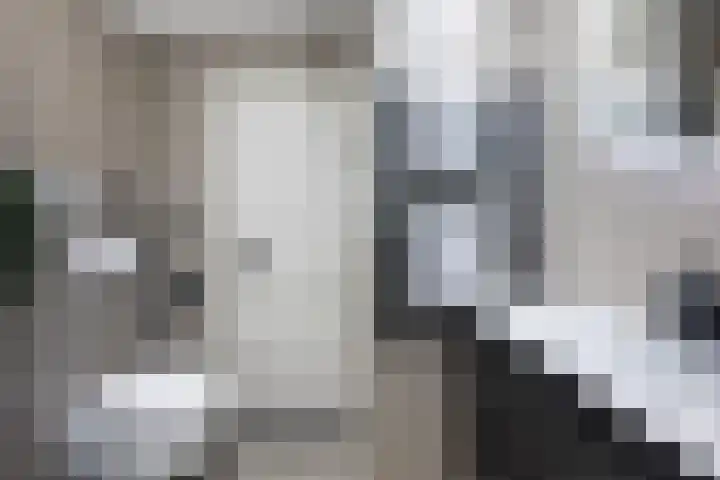 Plein 64 Wateringen thumbnail 12
