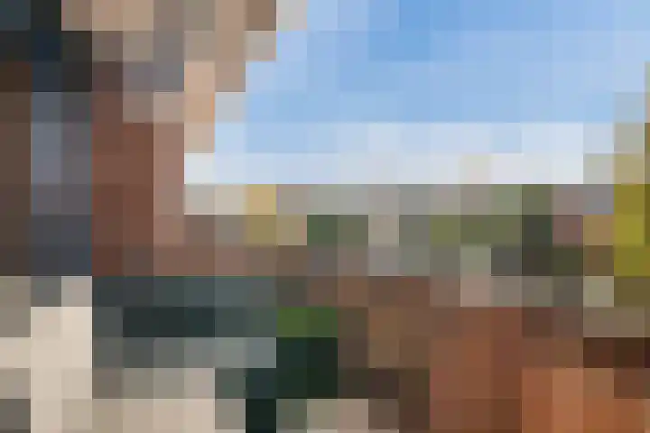Plein 64 Wateringen thumbnail 25