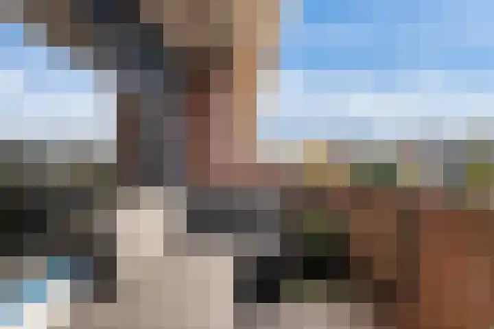 Plein 64 Wateringen thumbnail 4