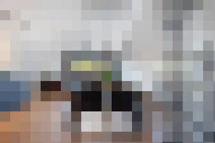 Plein 64 Wateringen thumbnail 6