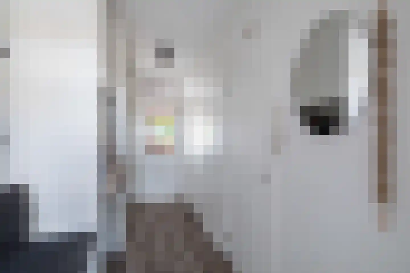 Plein 78 Wateringen thumbnail 11