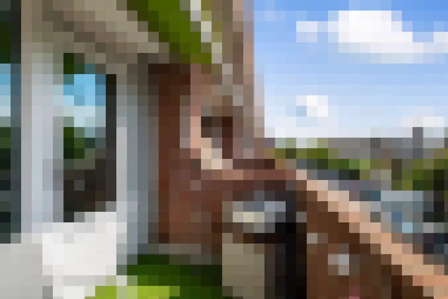 Plein 78 Wateringen thumbnail 16