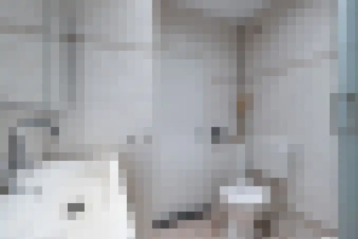 Plein 78 Wateringen thumbnail 27
