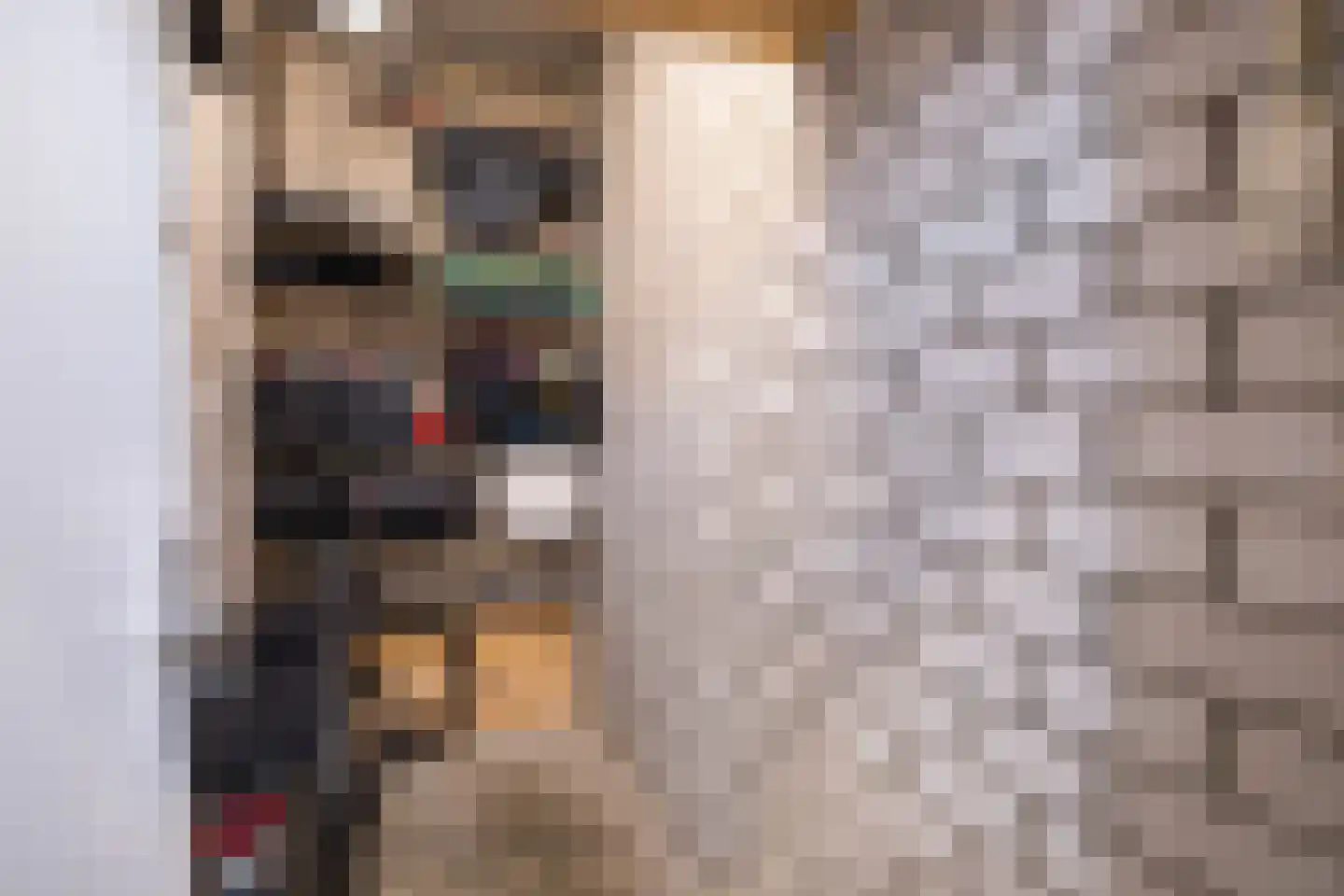 Plein 78 Wateringen thumbnail 29