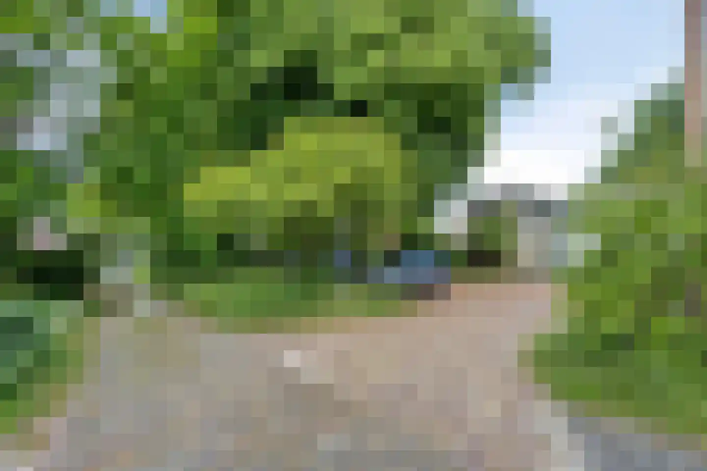 Plein 8 Rolde thumbnail 39