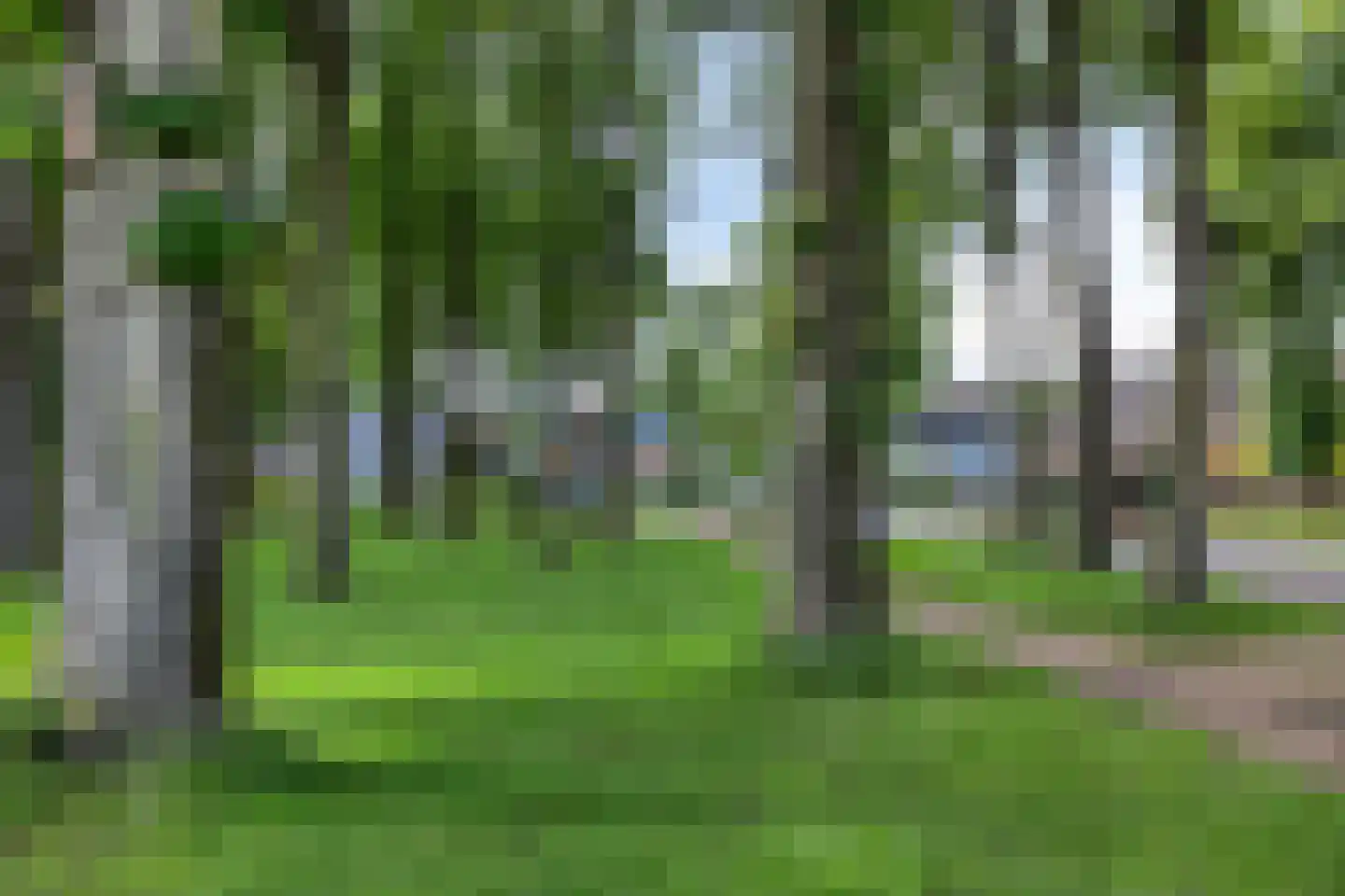 Plein 8 Rolde thumbnail 46