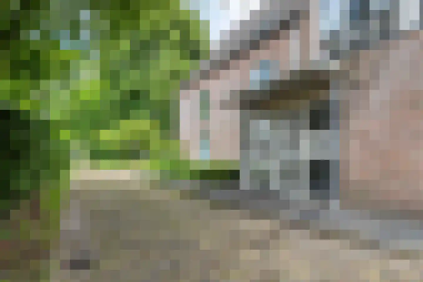 Plein 8 Rolde thumbnail 6