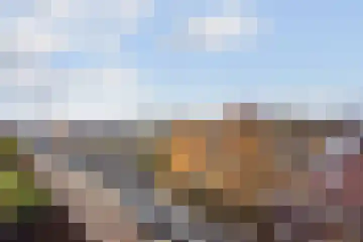 Plein 86 Wateringen thumbnail 12