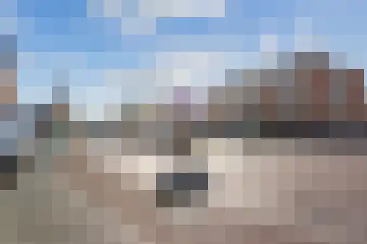 Plein 86 Wateringen thumbnail 30