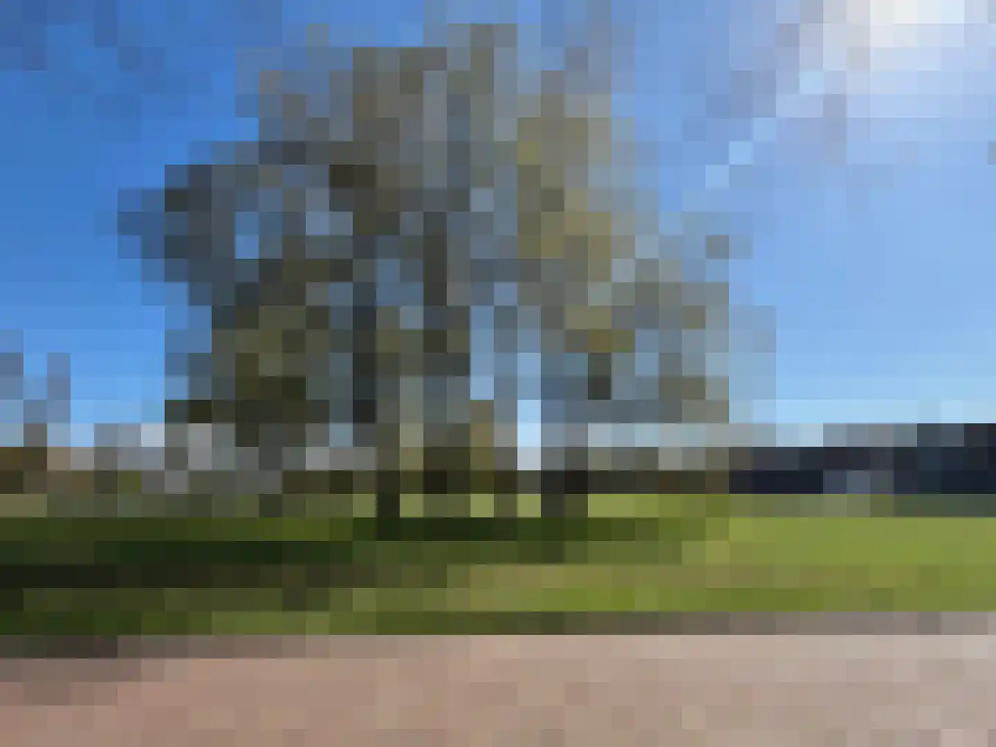 Plein Almere 19 Emmeloord thumbnail 29