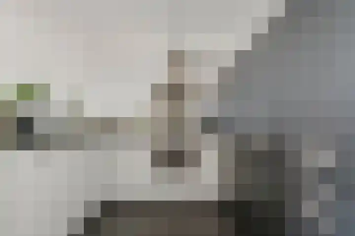 Plein Delftzicht 35 Delft thumbnail 15