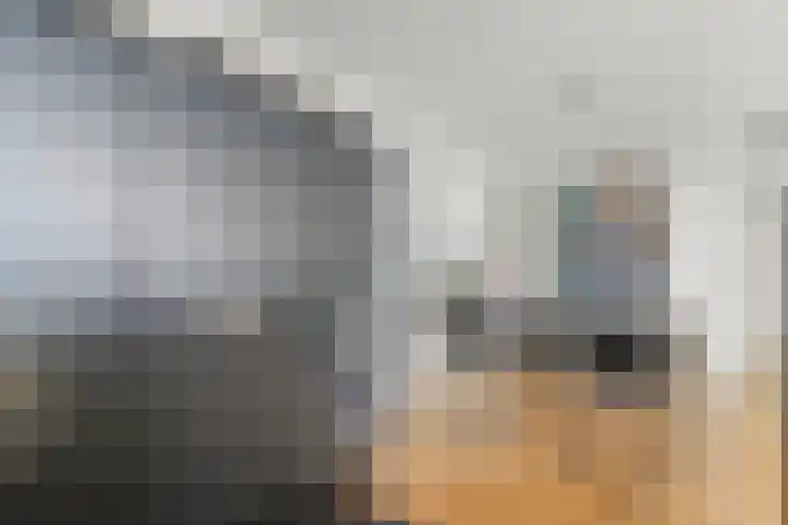 Plein Delftzicht 35 Delft thumbnail 16