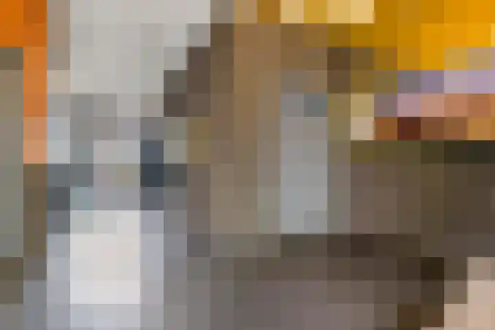 Plein Delftzicht 35 Delft thumbnail 5