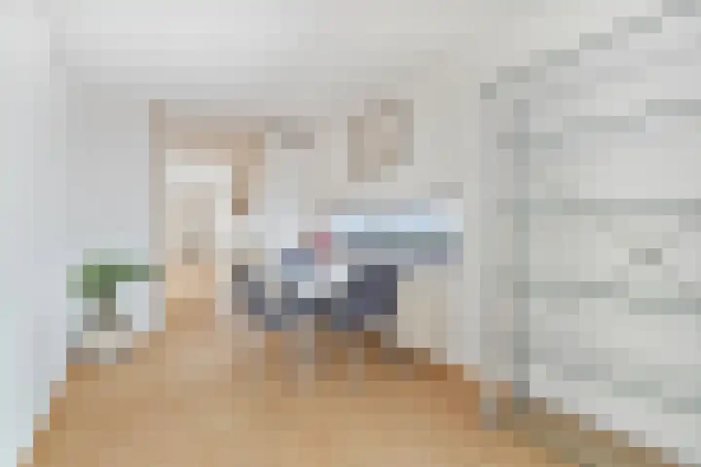 Plein Delftzicht 49 Delft thumbnail 12