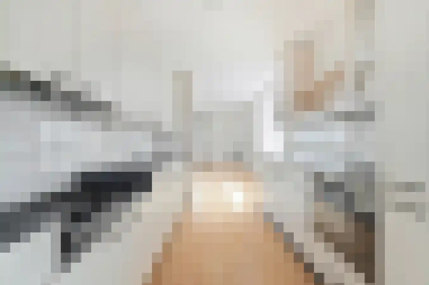 Plein Delftzicht 49 Delft thumbnail 14