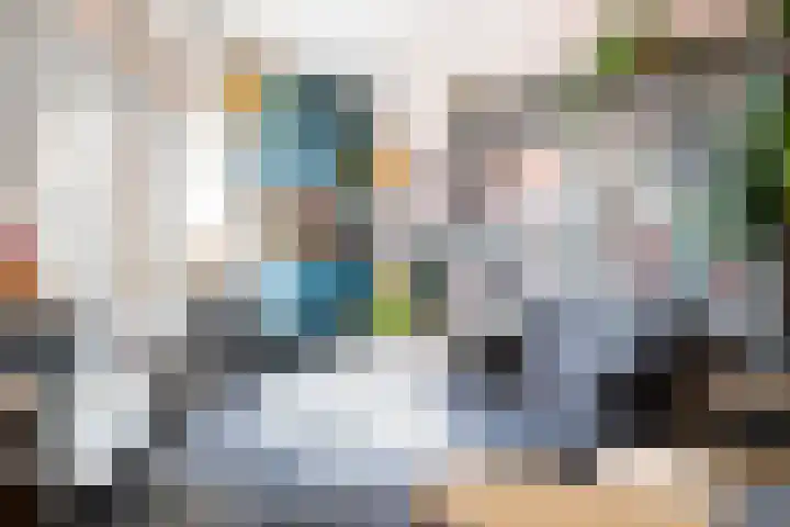 Plein Eendragt 11 A Schiedam thumbnail 12
