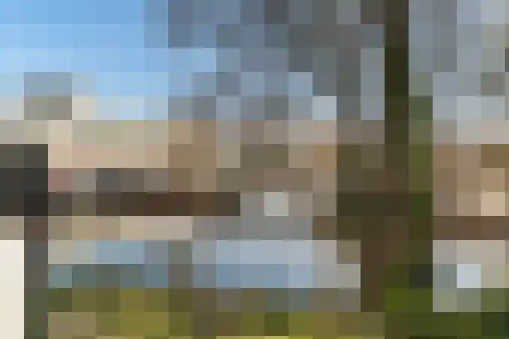 Plein Eendragt 11 A Schiedam thumbnail 20