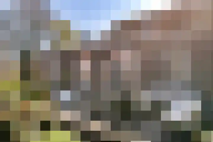 Plein Eendragt 11 A Schiedam thumbnail 22