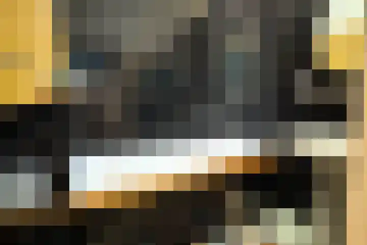 Plein Eendragt 11 A Schiedam thumbnail 33