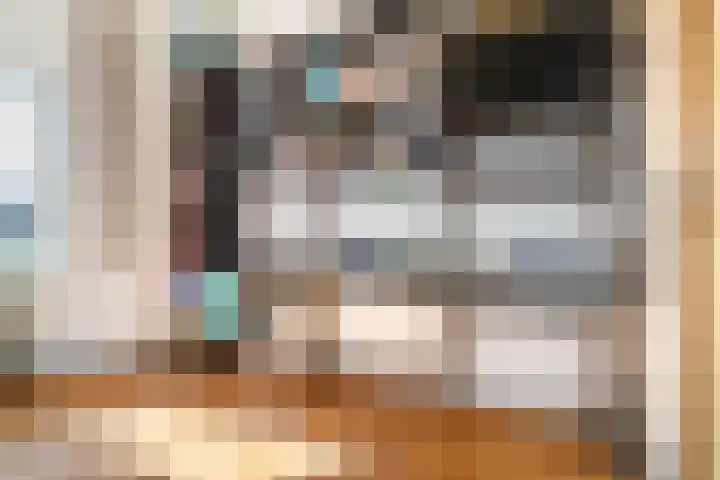 Plein Eendragt 11 A Schiedam thumbnail 38