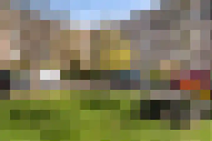 Plein Eendragt 11 A Schiedam thumbnail 5