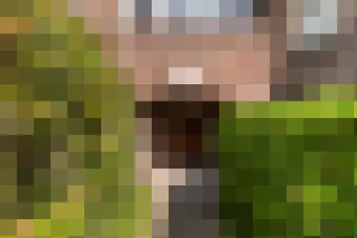 Plein Eendragt 11 A Schiedam thumbnail 51