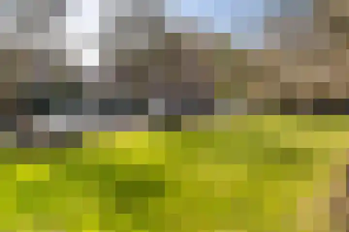 Plein Eendragt 11 A Schiedam thumbnail 52