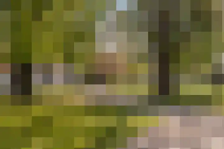 Plein Eendragt 11 A Schiedam thumbnail 53