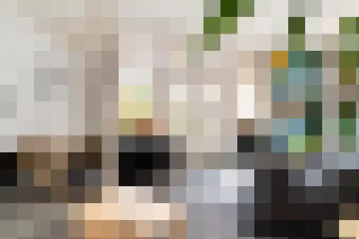 Plein Eendragt 11 A Schiedam thumbnail 6