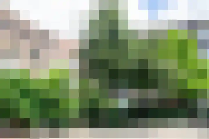Plein Eendragt 11 A Schiedam thumbnail 63