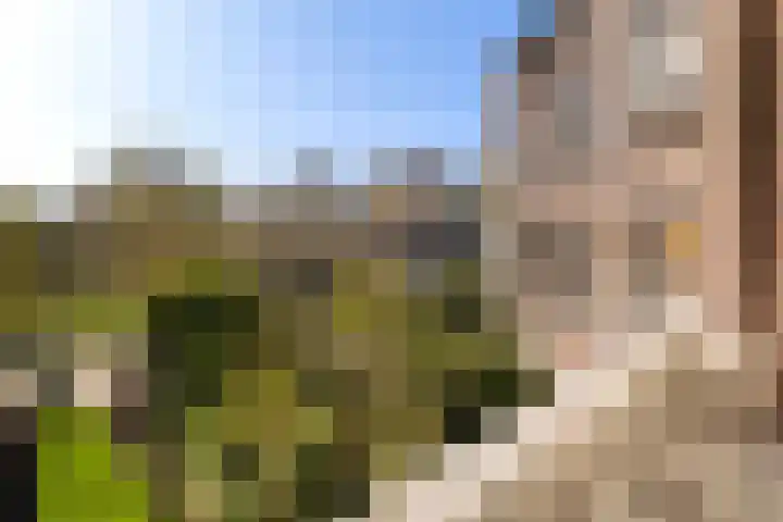 Plein Eendragt 11 A Schiedam thumbnail 7